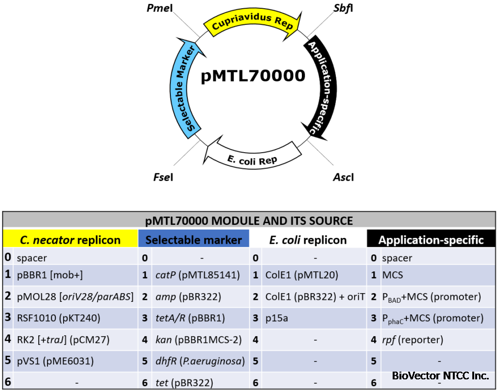 pMTL70000